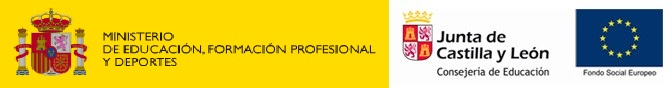 Logo of Plataforma de Formación Profesional a Distancia de la Junta de Castilla y León